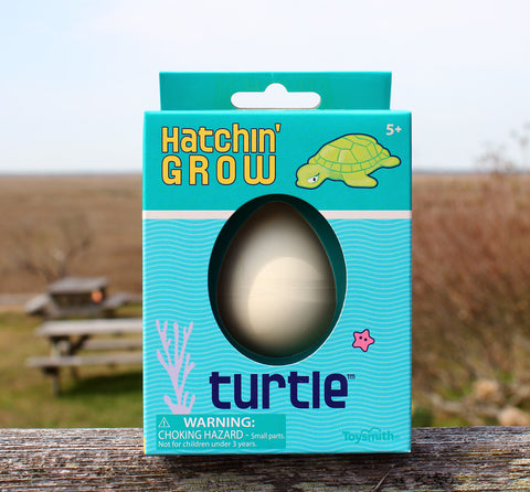 Hatchin' Grow Turtle Egg