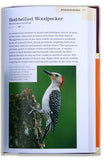 Field Guide to the Birds of Pennsylvania by George L. Armisted, photographs by Brain E. Small