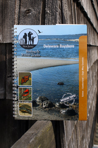 New Jersey Birding & Wildlife Trails: Delaware Bayshore