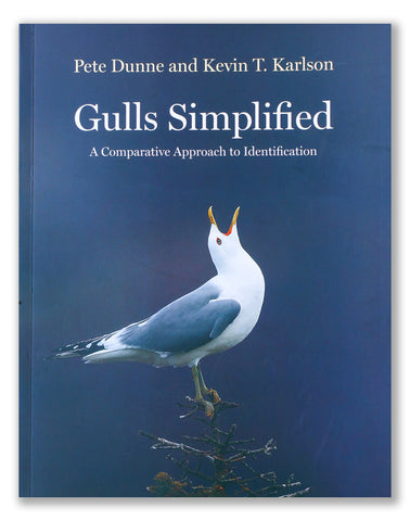 Gulls Simplified ID guide