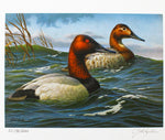 Limited Edition Signed and Numbered New Jersey Waterfowl Print with Stamps