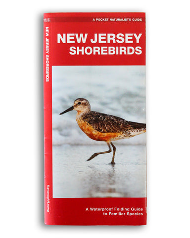 New Jersey Shorebirds (Nearshore Birds)