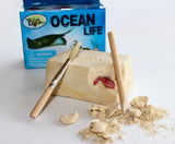 Ocean Life Mini Dig Kit