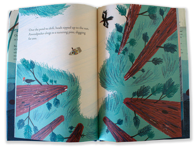 Kate Messener Fish Over and Under the Pond by Kate Messner, with art by Christopher Silas ...